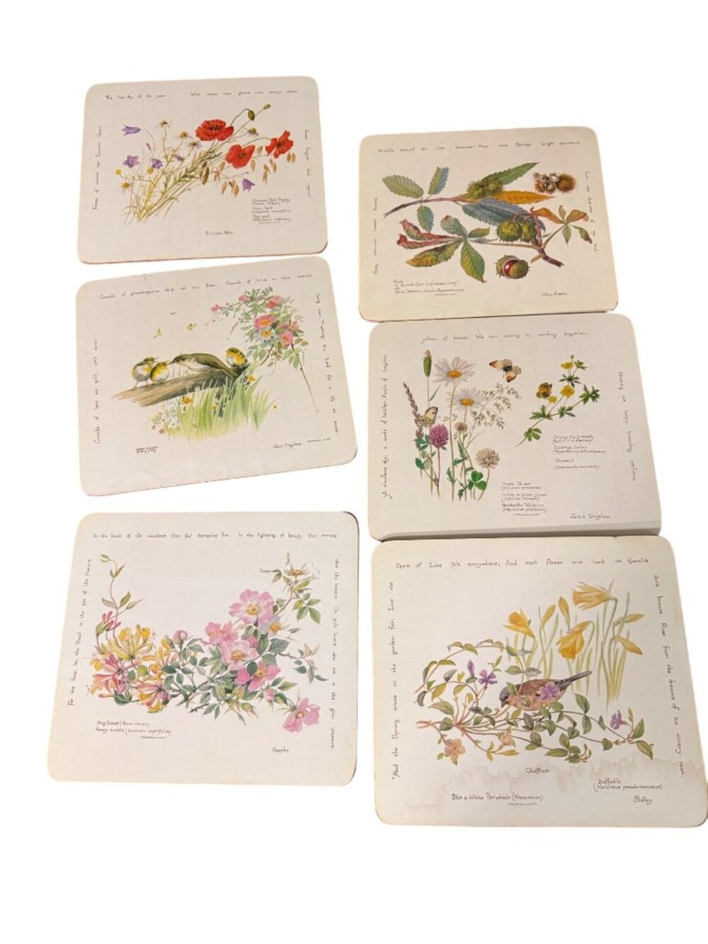 Clover Leaf The Country Diary Collection Floral Bird Coasters Set Of 6 Cork Back